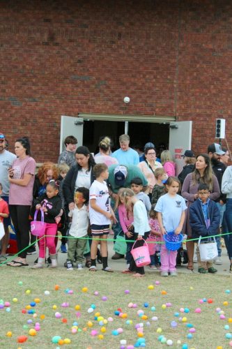 Egg Hunt 2026-184