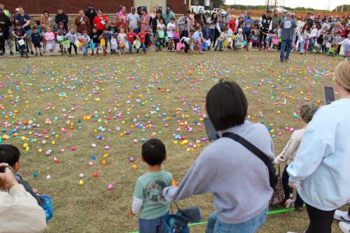 Egg Hunt 2026-188