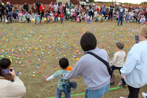 Egg Hunt 2026-189