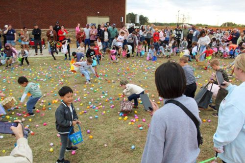 Egg Hunt 2026-192