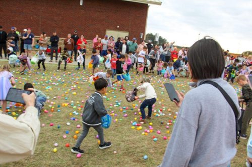 Egg Hunt 2026-193