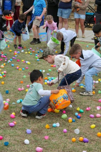 Egg Hunt 2026-194