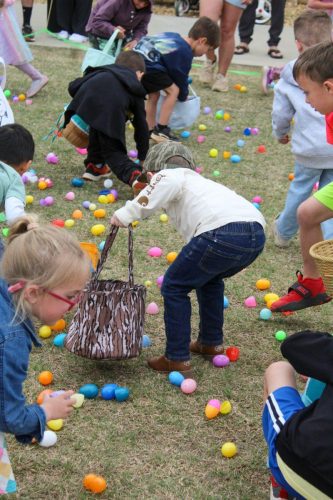Egg Hunt 2026-195