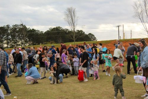 Egg Hunt 2026-196