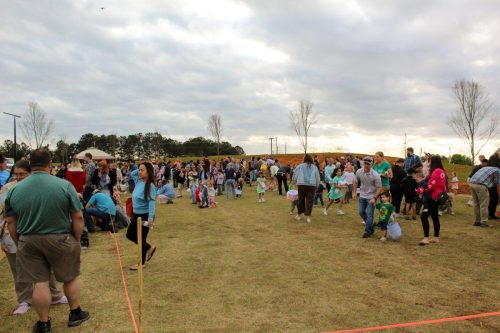 Egg Hunt 2026-197