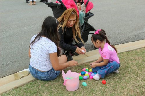 Egg Hunt 2026-199